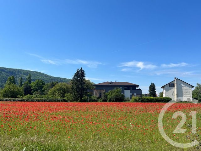 Appartement F3 à vendre - 3 pièces - 89.06 m2 - SCIEZ - 74 - RHONE-ALPES - Century 21 Agence Du Lac